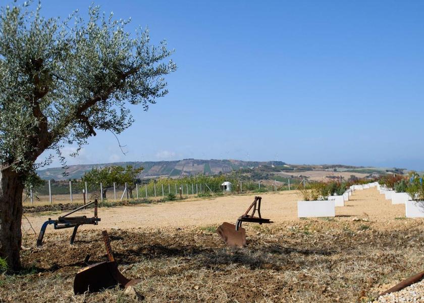 surrounding environment