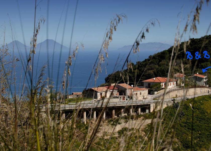 surrounding environment