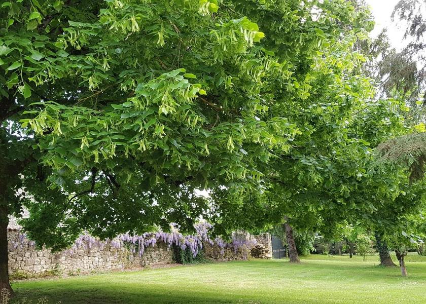 Nouvelle-Aquitaine Perigueux garden