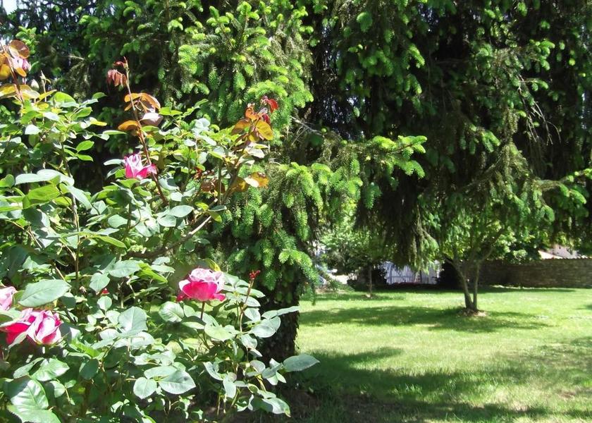 Nouvelle-Aquitaine Perigueux garden