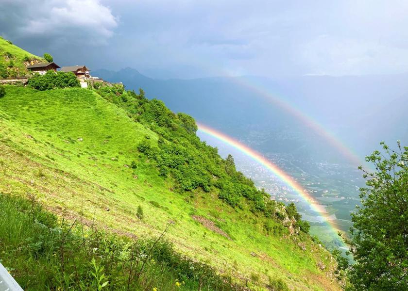 surrounding environment