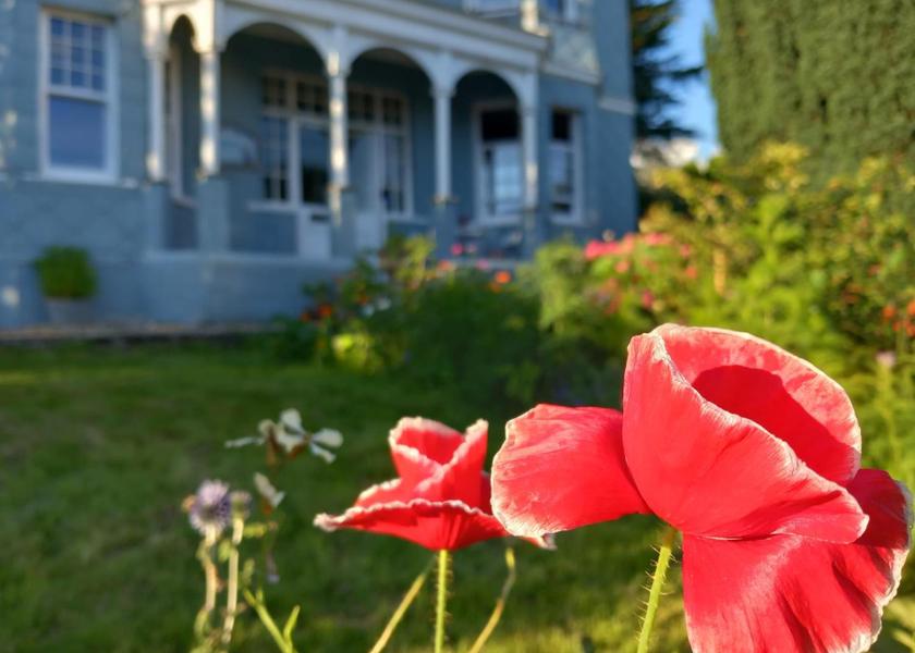Wales Llanwrtyd Wells garden