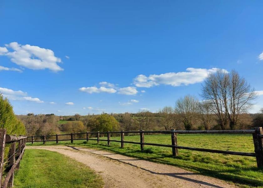 Normandy Lisieux garden