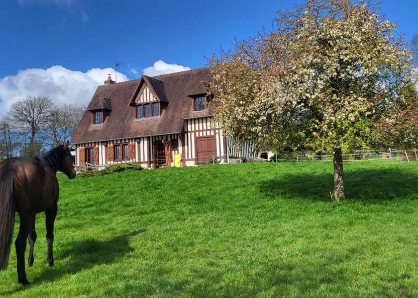 Normandy Lisieux garden