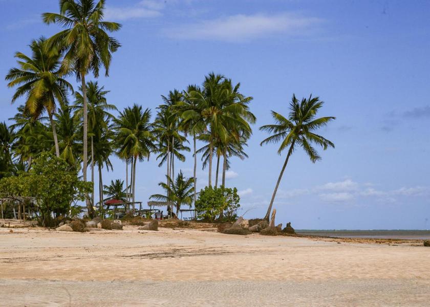 Alagoas São Miguel dos Milagres 