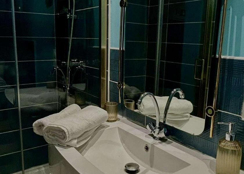 Auvergne-Rhone-Alpes Vienne Apartment - Ground Floor