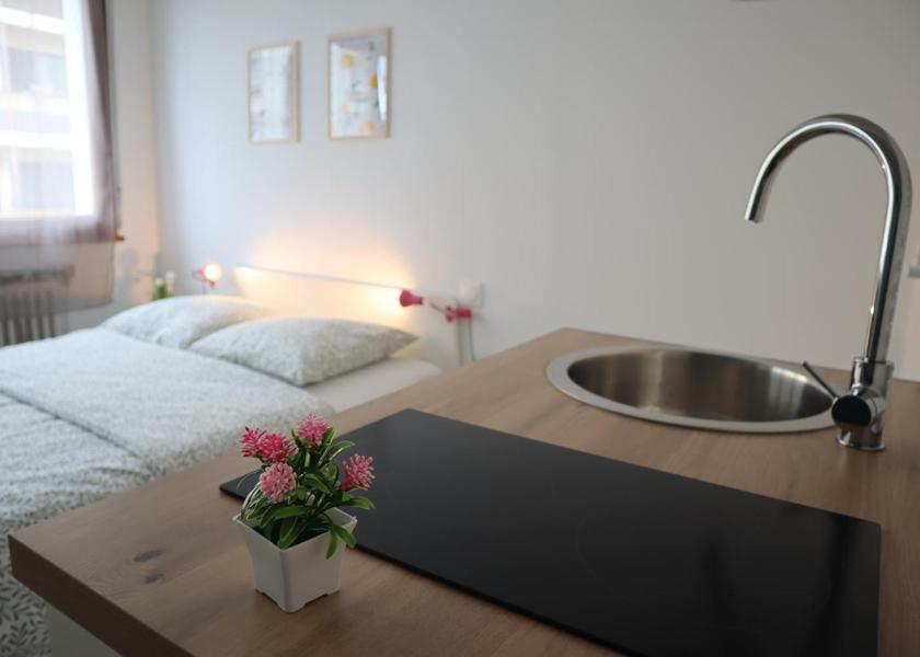 Auvergne-Rhone-Alpes Annecy Superior Studio