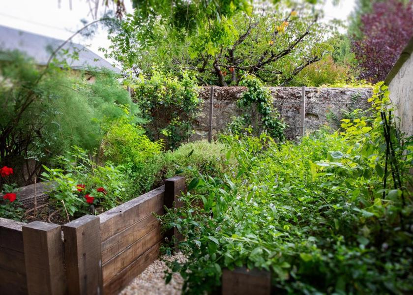 Centre - Loire Valley Amboise restaurant