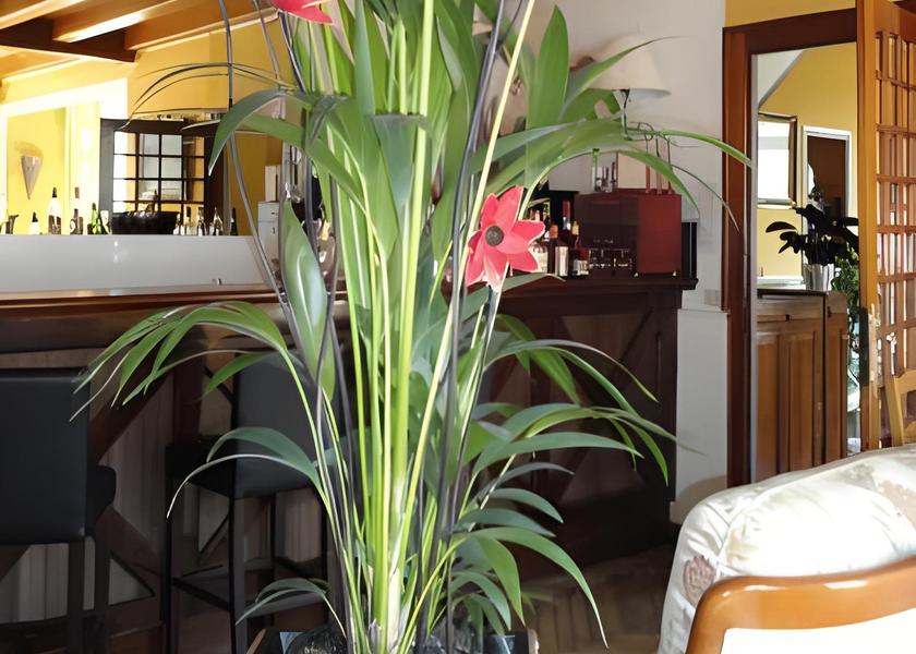 Centre - Loire Valley Amboise bar/lounge