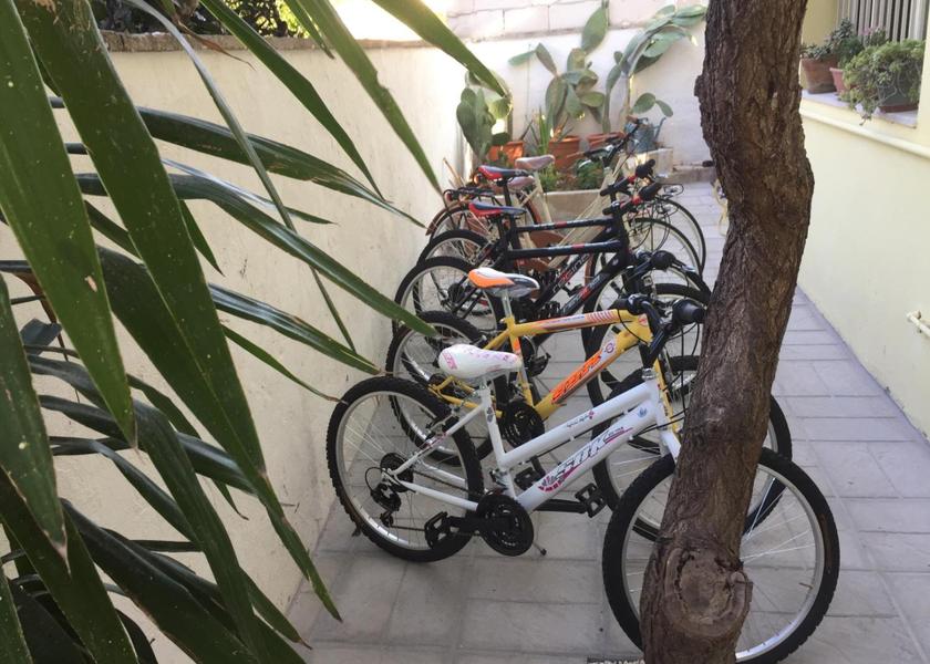 sports and activities