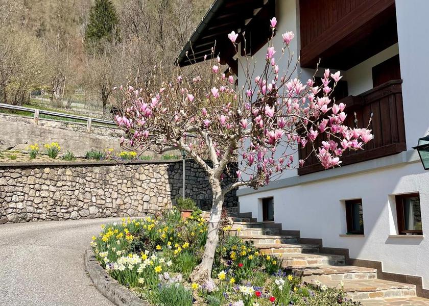 Veneto Valle di Cadore 