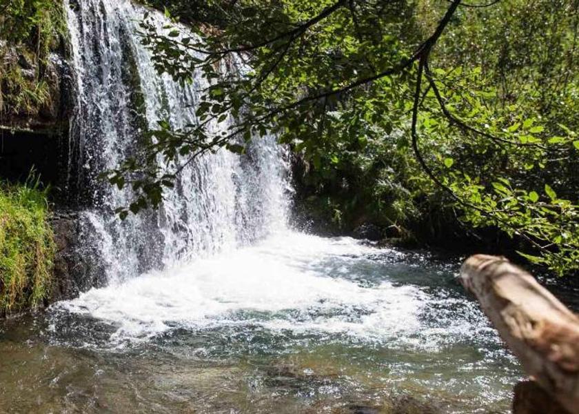 Trentino-Alto Adige Valle di Casies Attractions