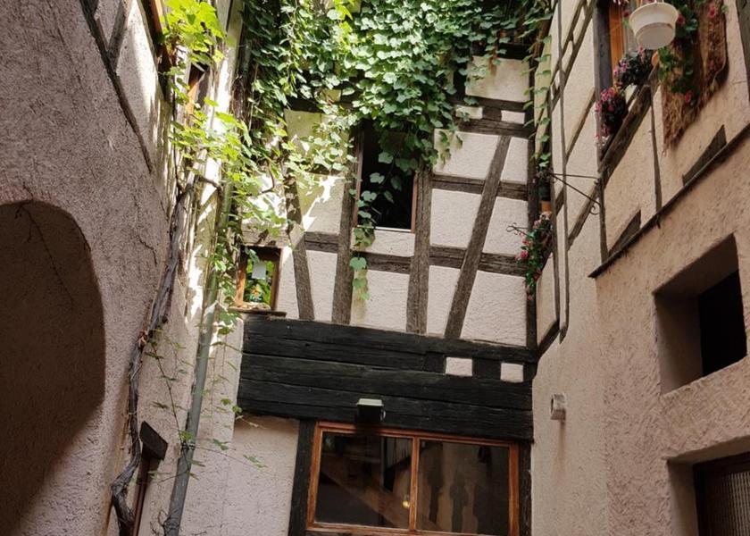 Grand Est Riquewihr view