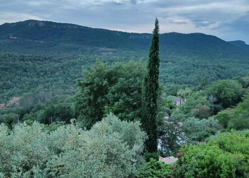 Provence-Alpes-Côte d'Azur Bagnols-en-Foret 