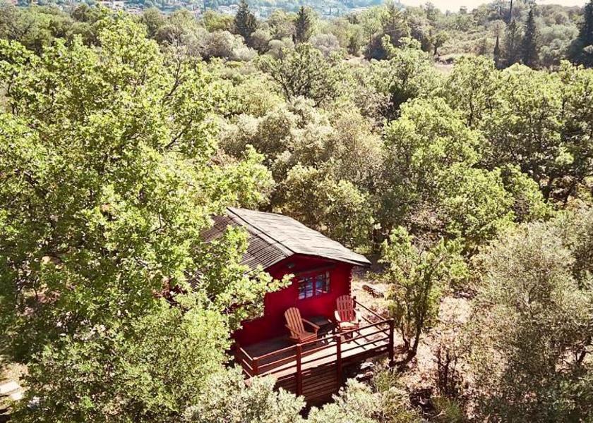 Provence-Alpes-Côte d'Azur Bagnols-en-Foret 