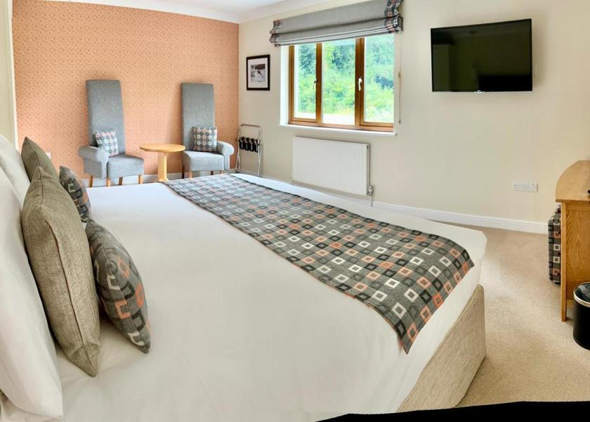 Wales Newcastle Emlyn 