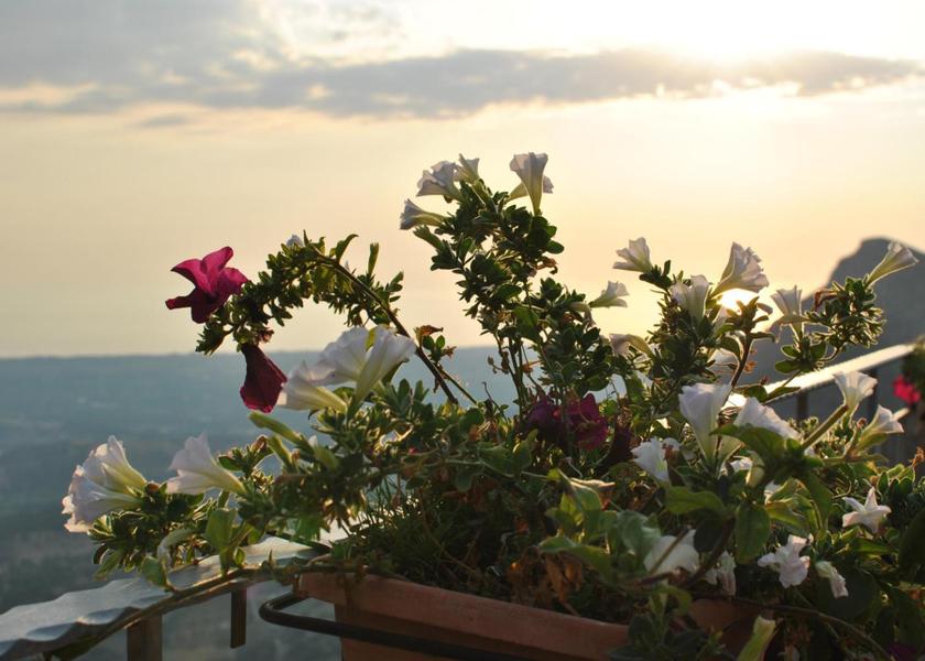 surrounding environment