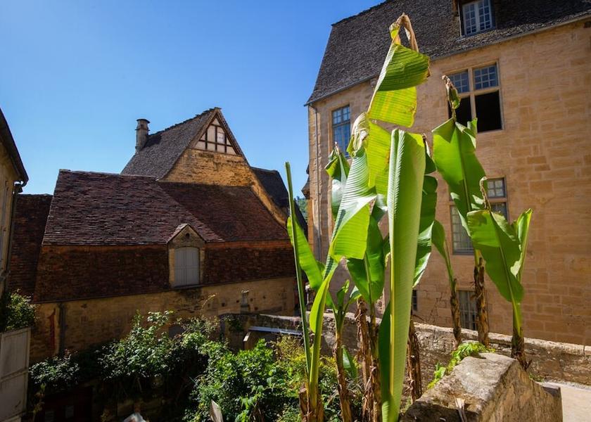 Nouvelle-Aquitaine Sarlat-la-Canéda Terrace/patio