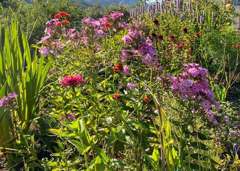 Liguria Beverino garden