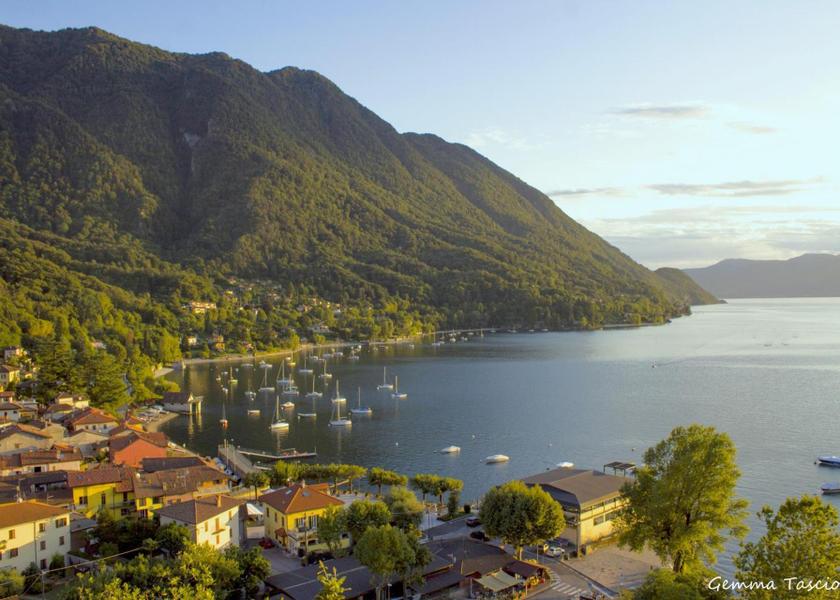 surrounding environment