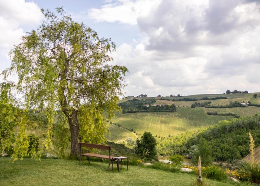 surrounding environment