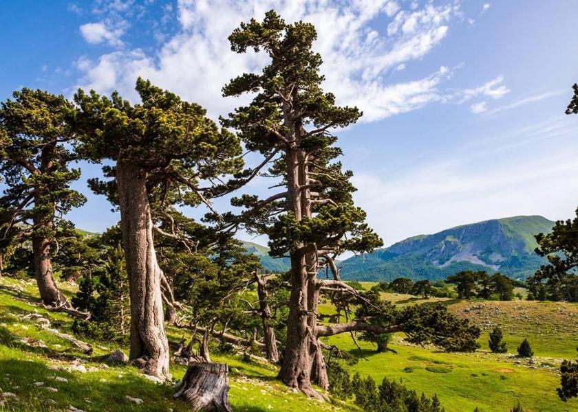 surrounding environment