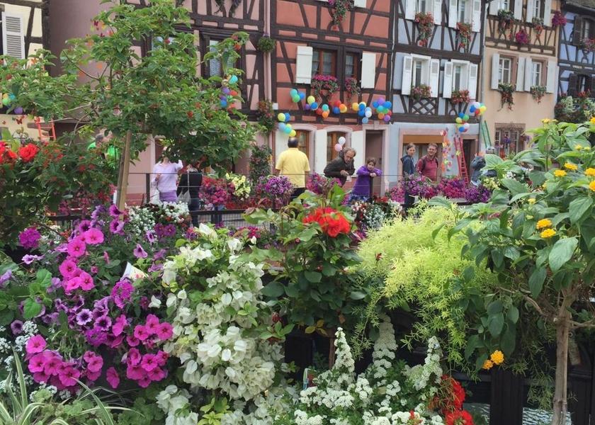 Grand Est Colmar entrance