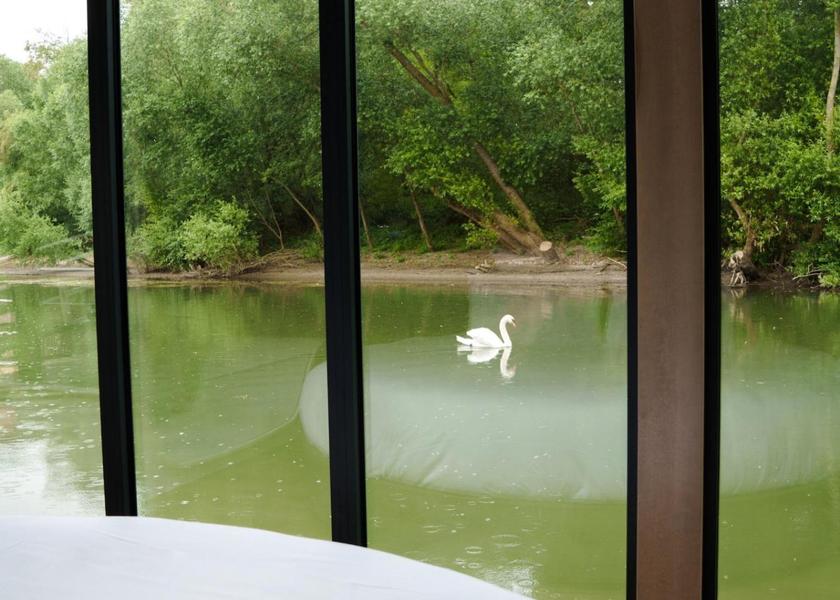 surrounding environment