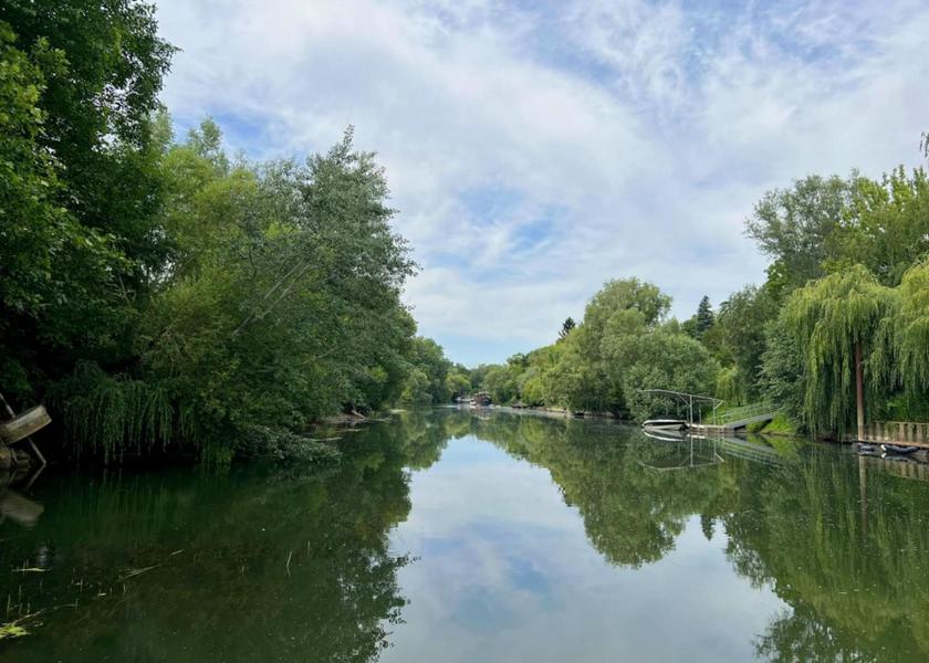 surrounding environment