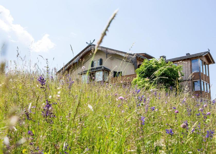 surrounding environment