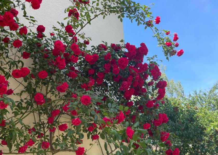 Bourgogne-Franche-Comte Besancon 