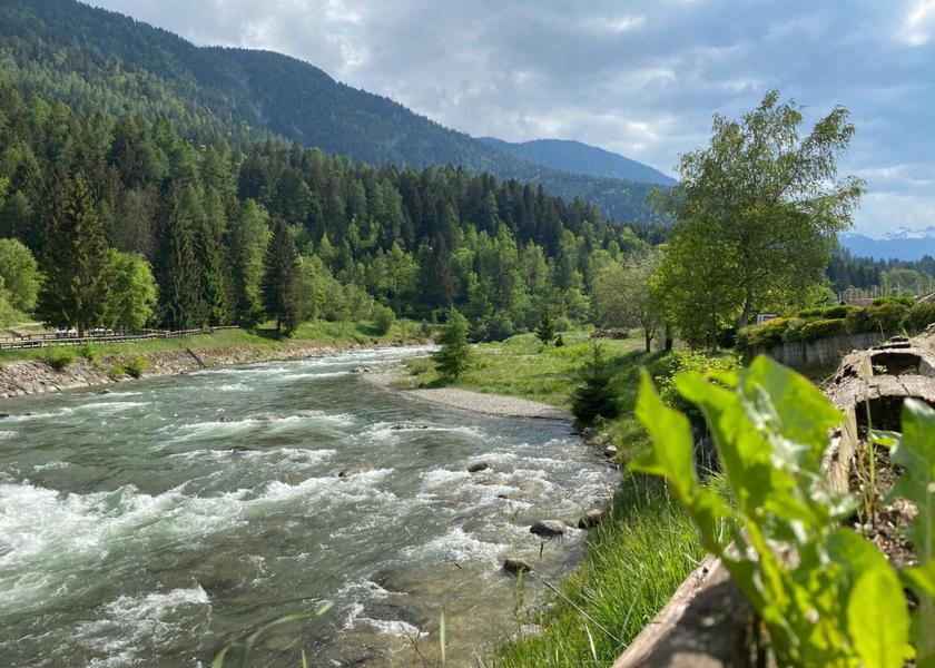 Trentino-Alto Adige Caldes 