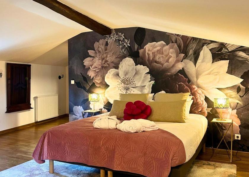 Auvergne-Rhône-Alpes Chasse-sur-Rhone Family Room with Garden View