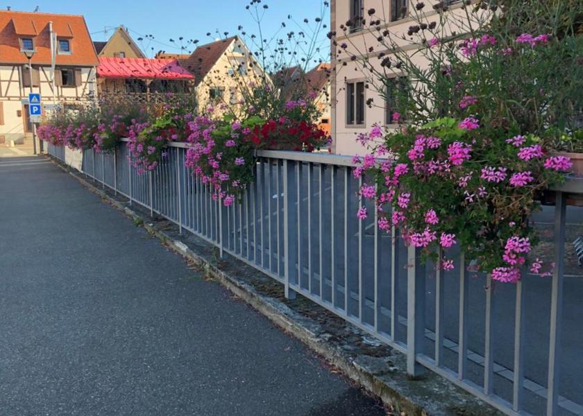 Grand Est Châtenois 