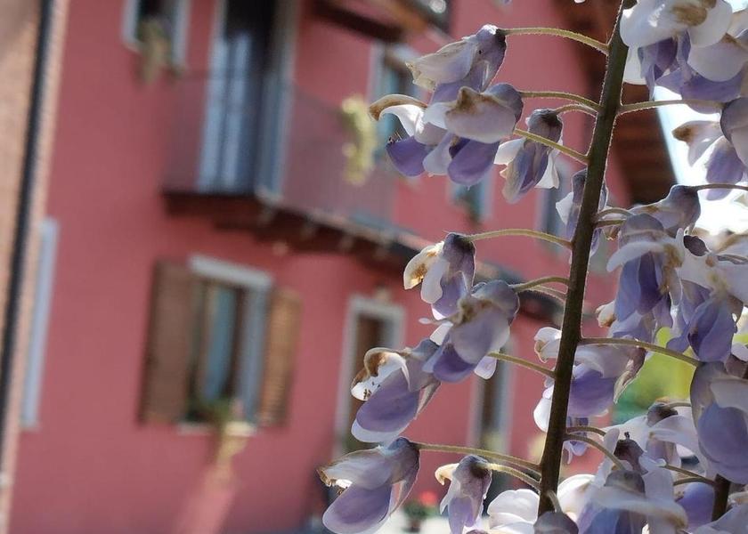 Piedmont Cervasca 