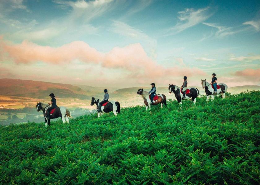 Wales Rhayader horseback riding