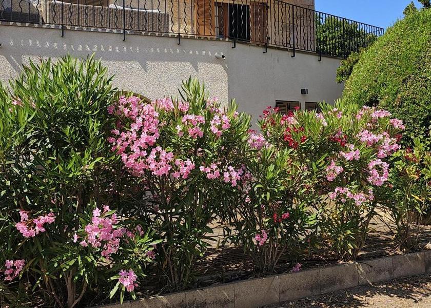 Corsica Propriano facilities