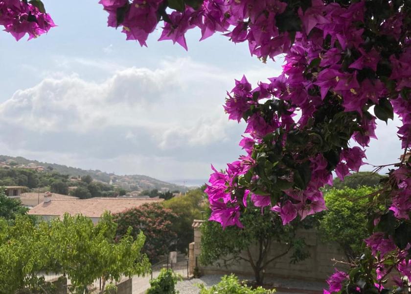 Corsica Propriano garden