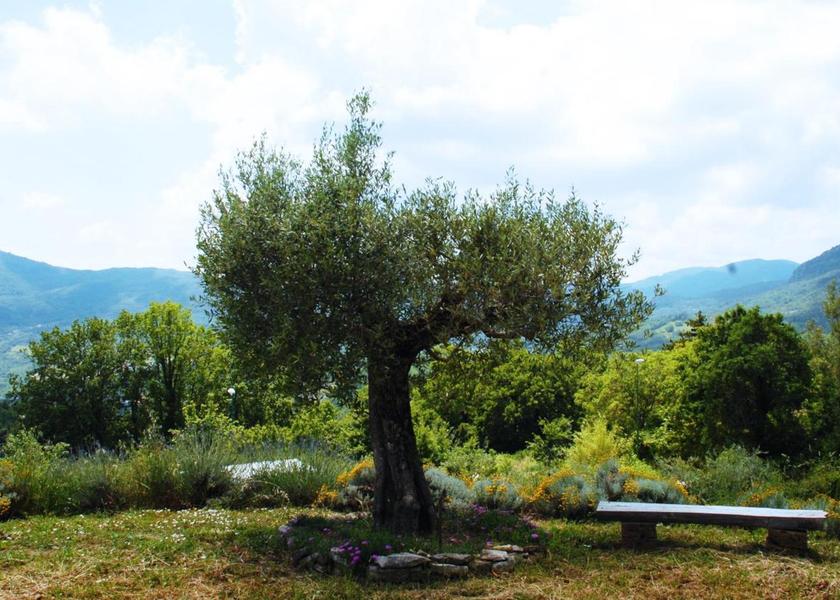 Molise Rocchetta A Volturno garden