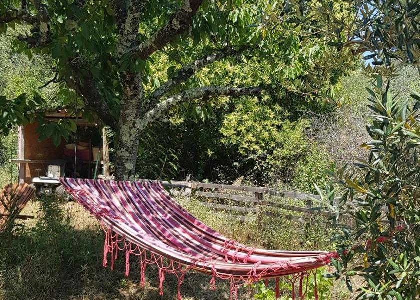 Provence - Alpes - Cote d'Azur Draguignan garden