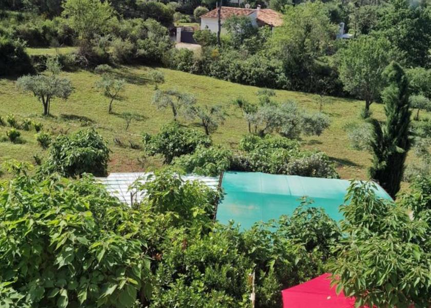 Provence - Alpes - Cote d'Azur Draguignan 