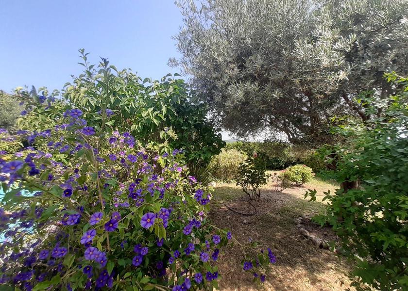 Provence-Alpes-Côte d'Azur Draguignan 