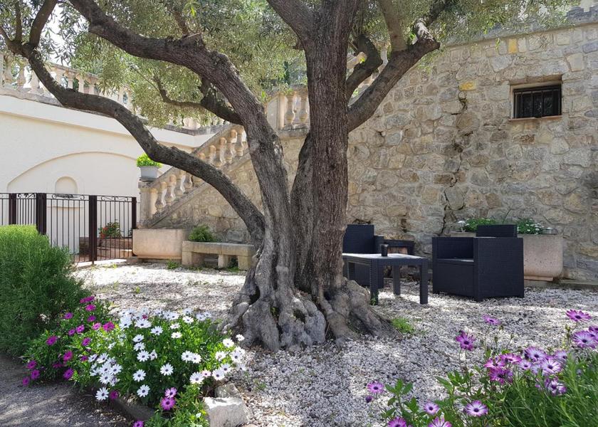 Provence - Alpes - Cote d'Azur Draguignan 