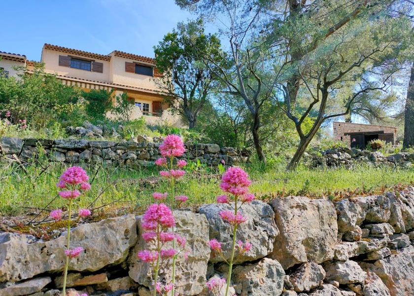 Provence - Alpes - Cote d'Azur Draguignan garden