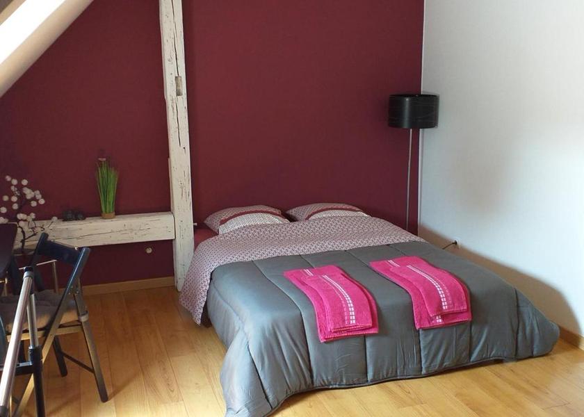 Grand Est Haguenau Deluxe Double Room with Shower