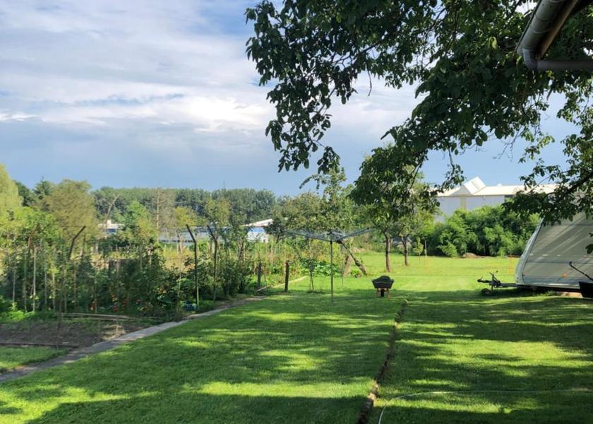 Grand Est Niederbronn-les-Bains garden