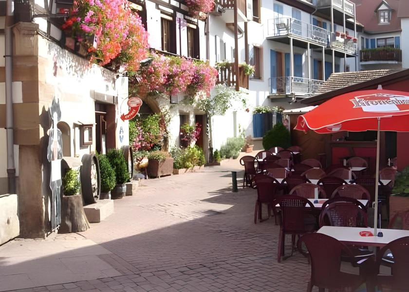 Grand Est Obernai surrounding environment