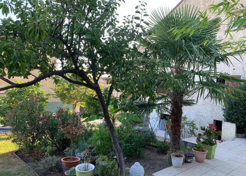 Île-de-France Argenteuil garden