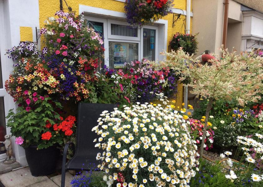 Wales Burry Port garden