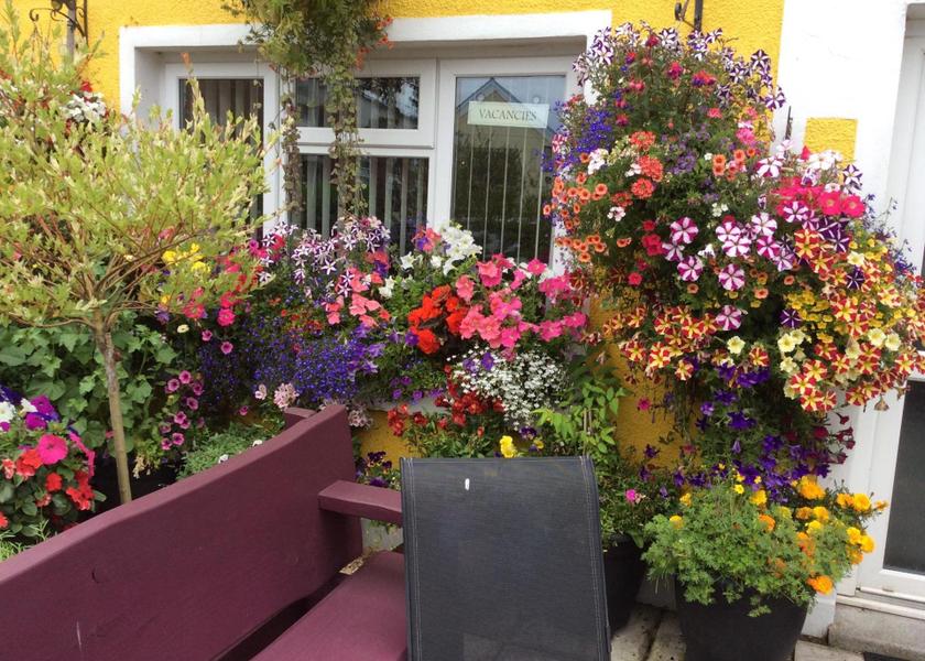 Wales Burry Port garden